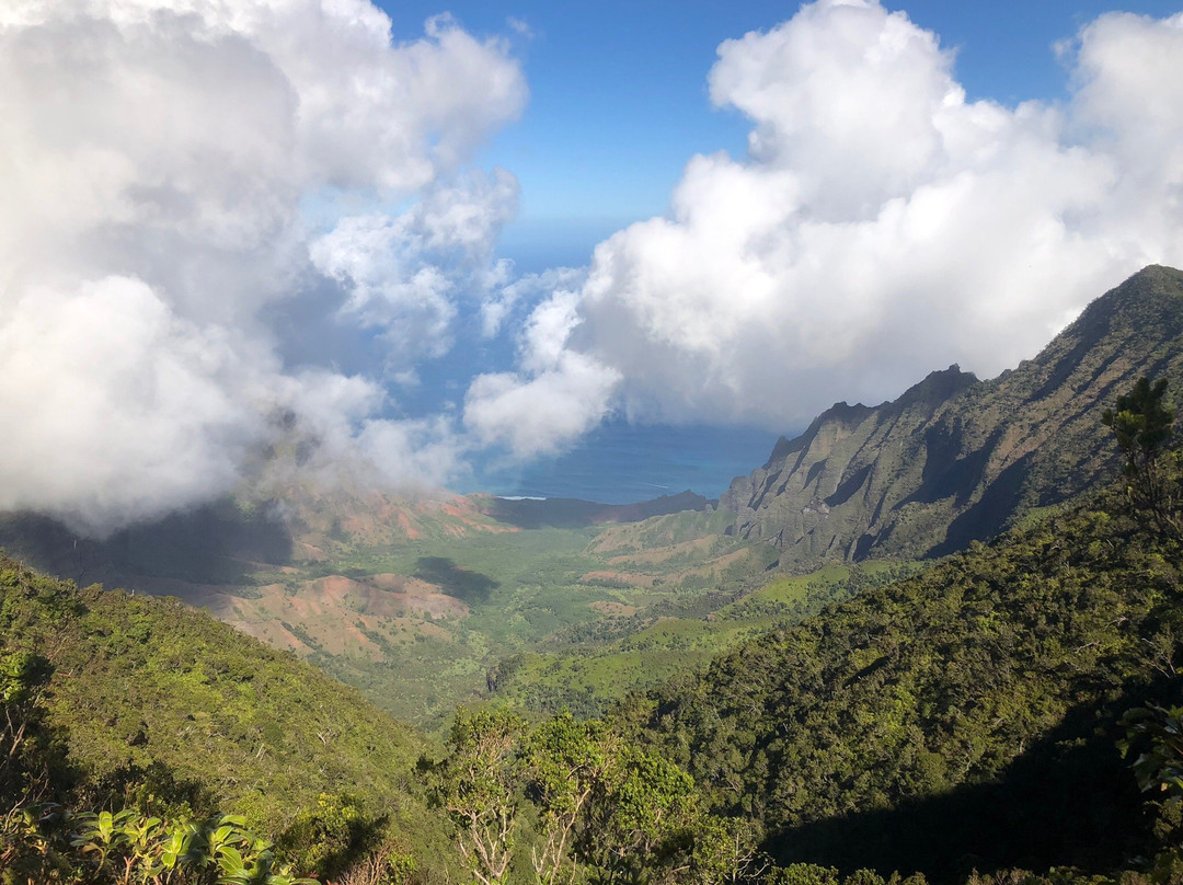 Koke'e Mountains-威美亚必去景点