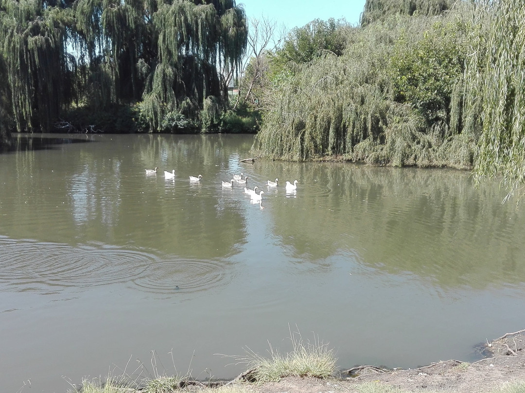 Bokkie Park景点图片