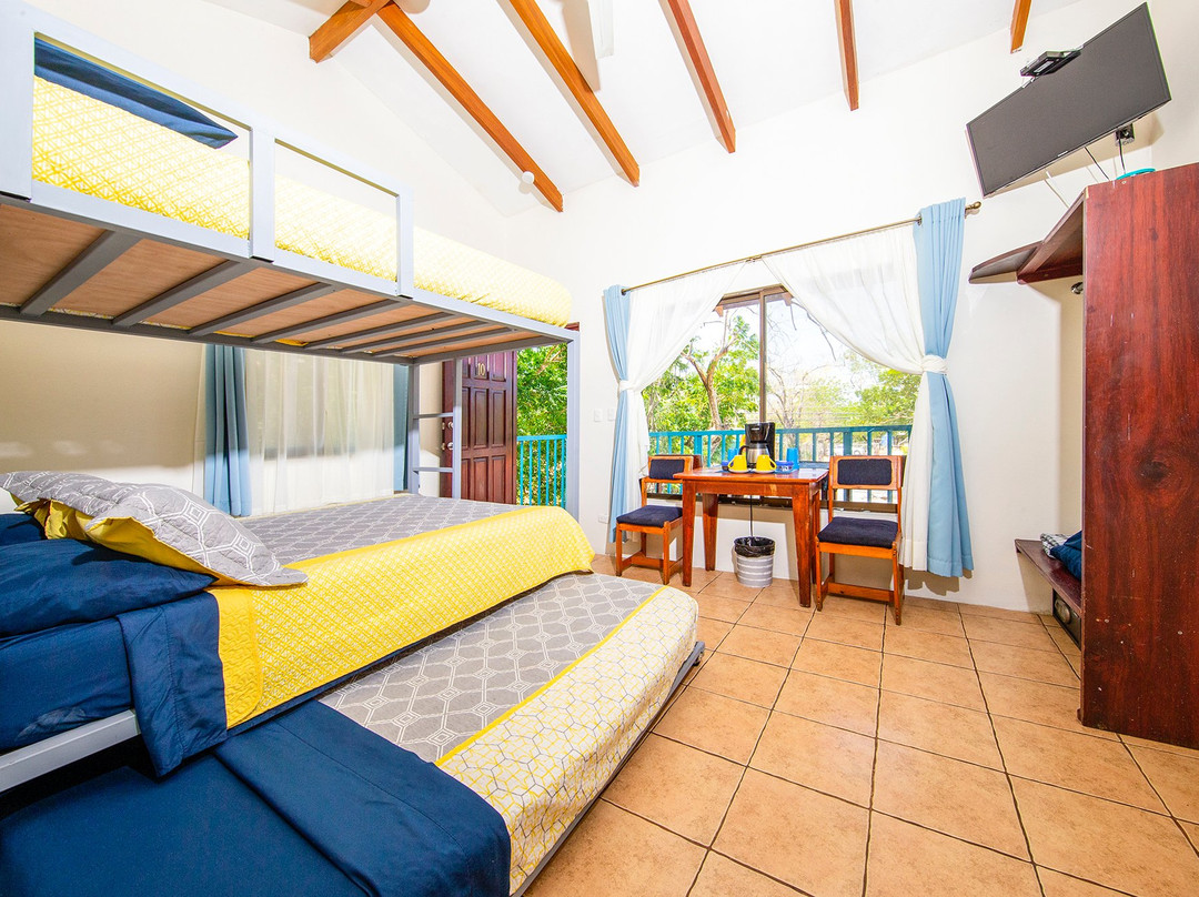 Hotel Diversion Tropical主图