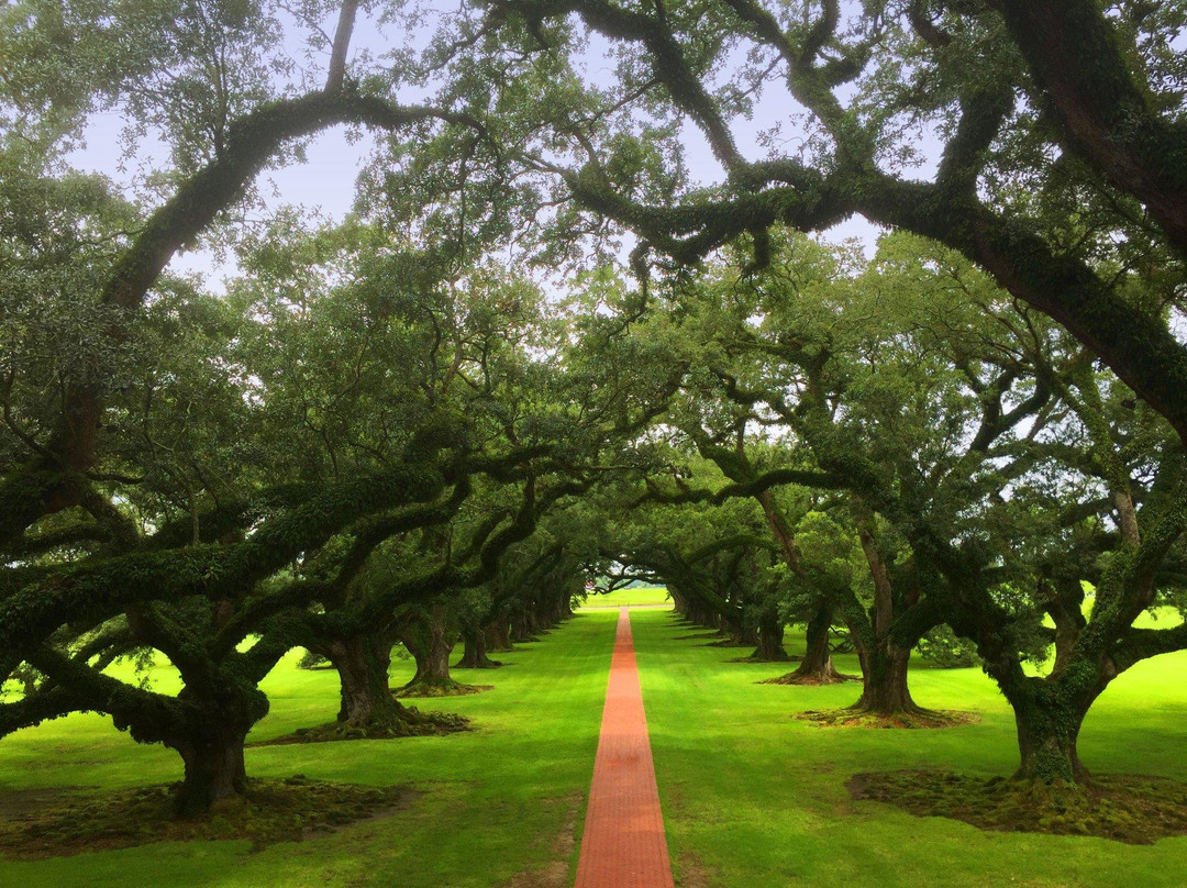 Latin Tours-新奥尔良必去景点
