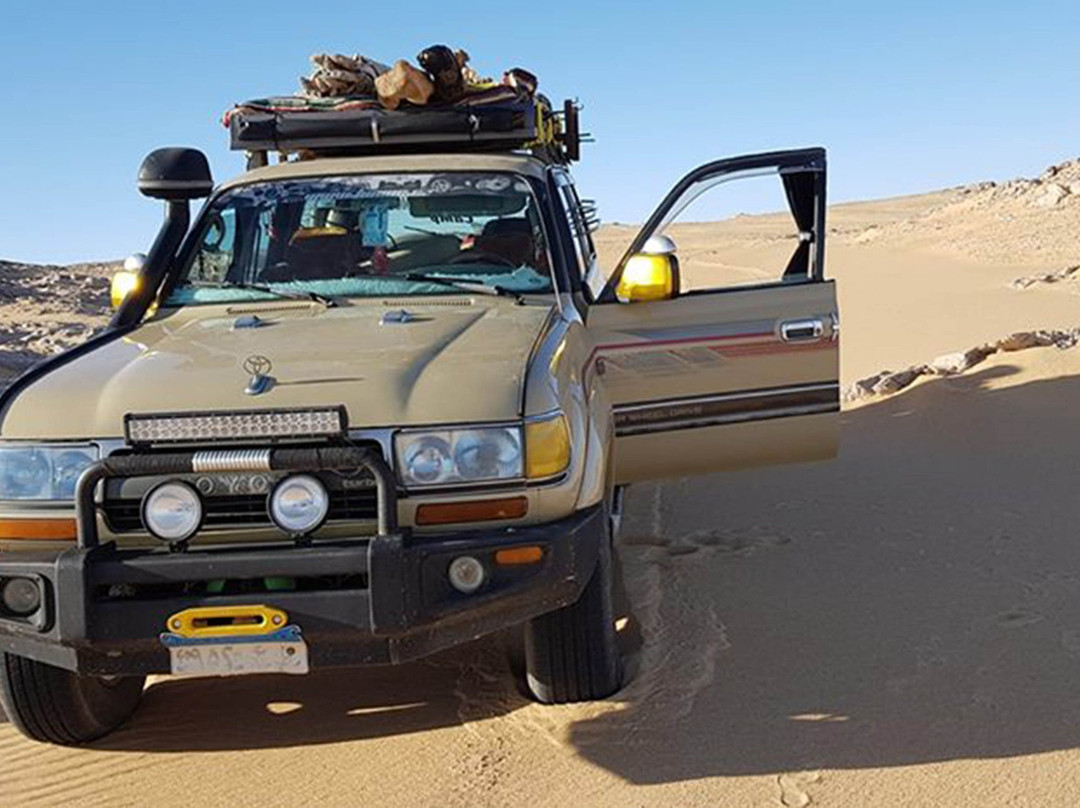 Le Jardin Sous La Lune主图