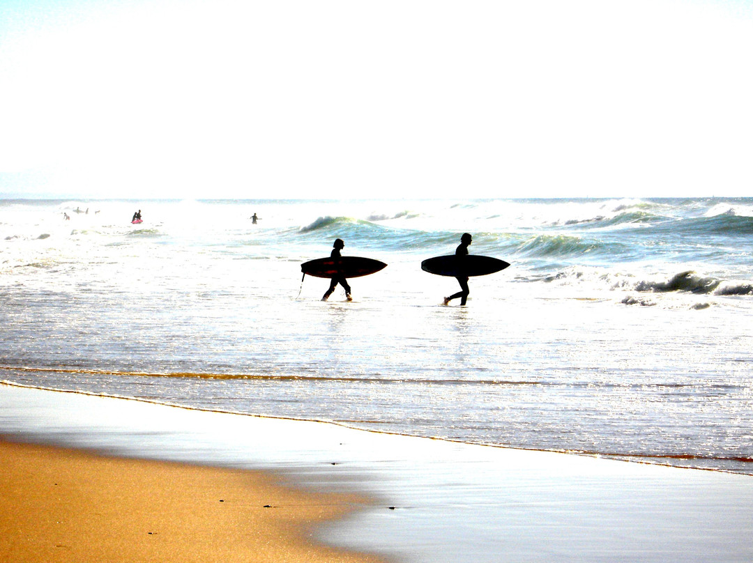Le Surf Spot Surf Hostel
