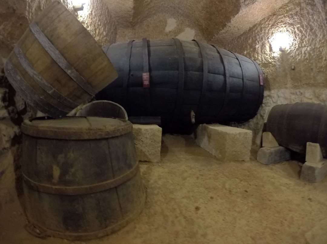 Bodega Aula de Interpretacion de Mucientes景点图片