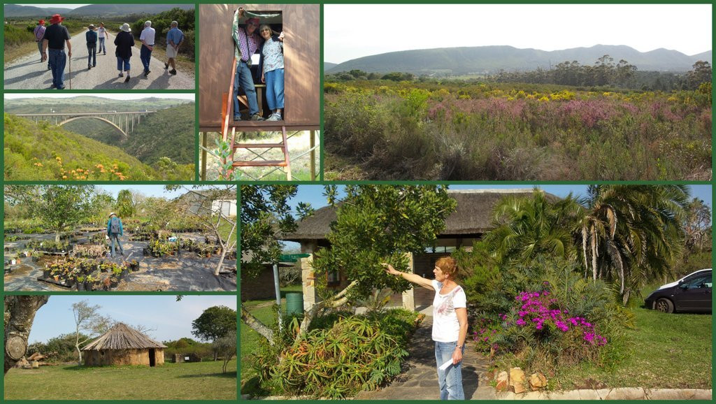 Van Stadens Wildflower Reserve-伊丽莎白港必去景点