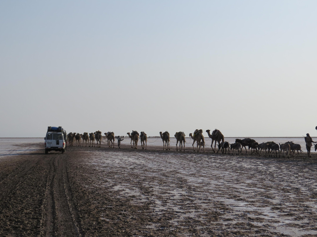 TANKWA TOURS & TRAVEL AGENCY-巴哈尔达尔必去景点