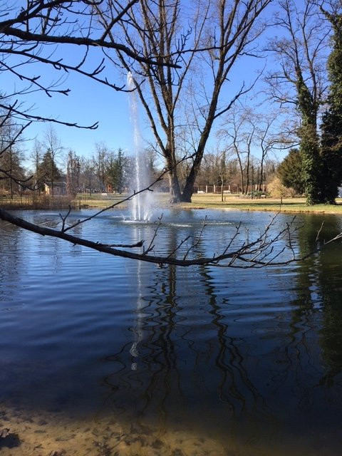 Kurpark Bad Bellingen景点图片