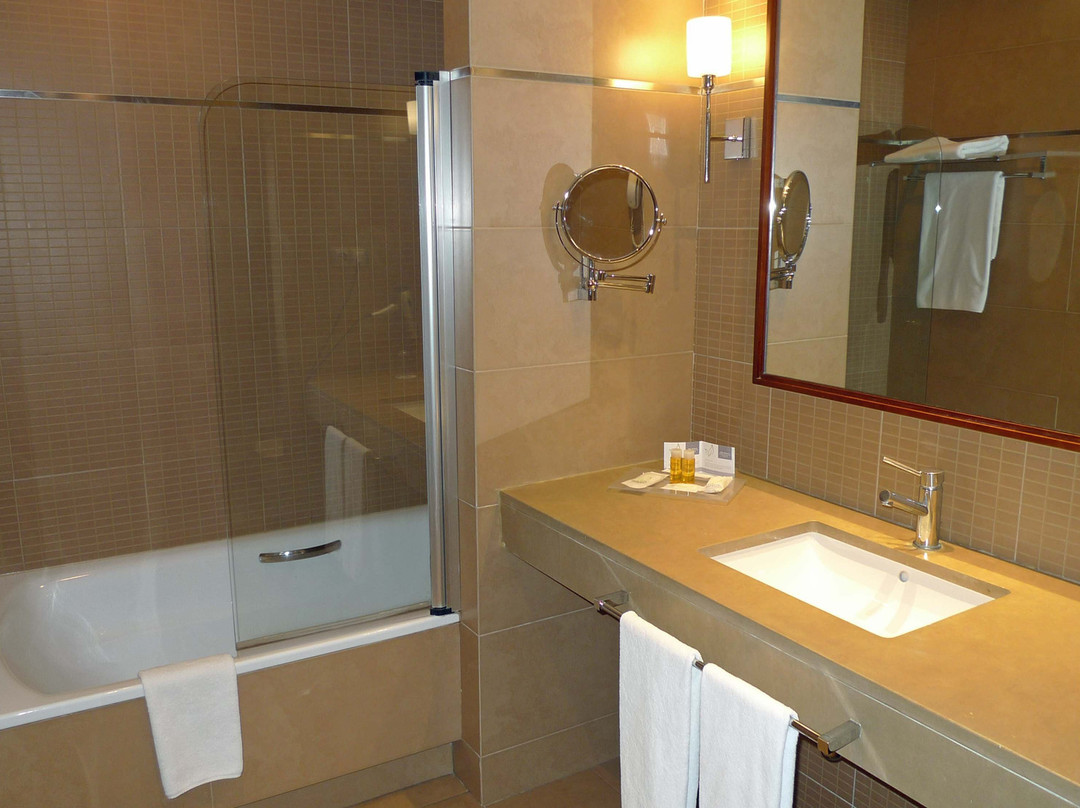 Elba Almeria Business & Convention Hotel主图