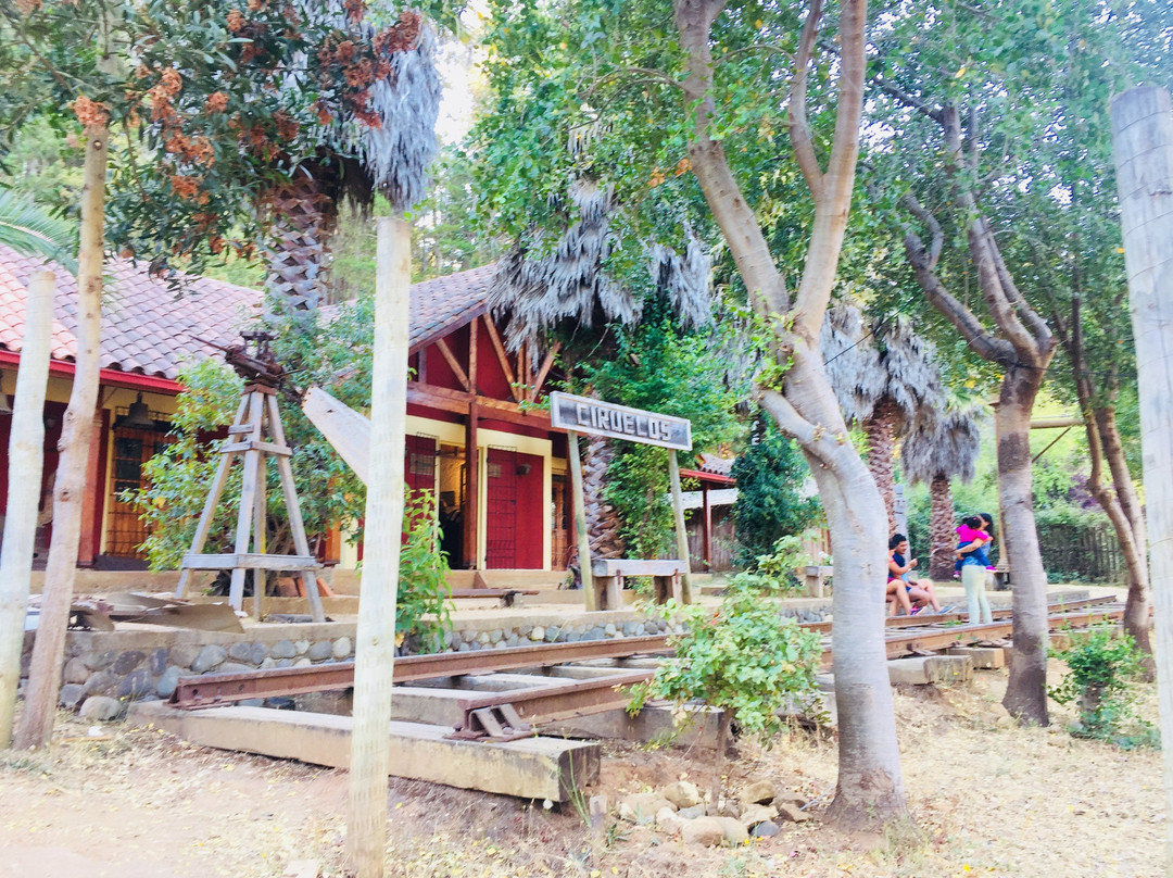 Museo del Nino Rural-皮钦勒姆必去景点