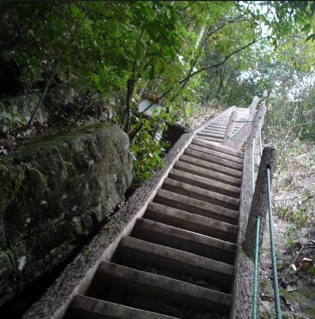 千岛湖森林氧吧-淳安县必去景点