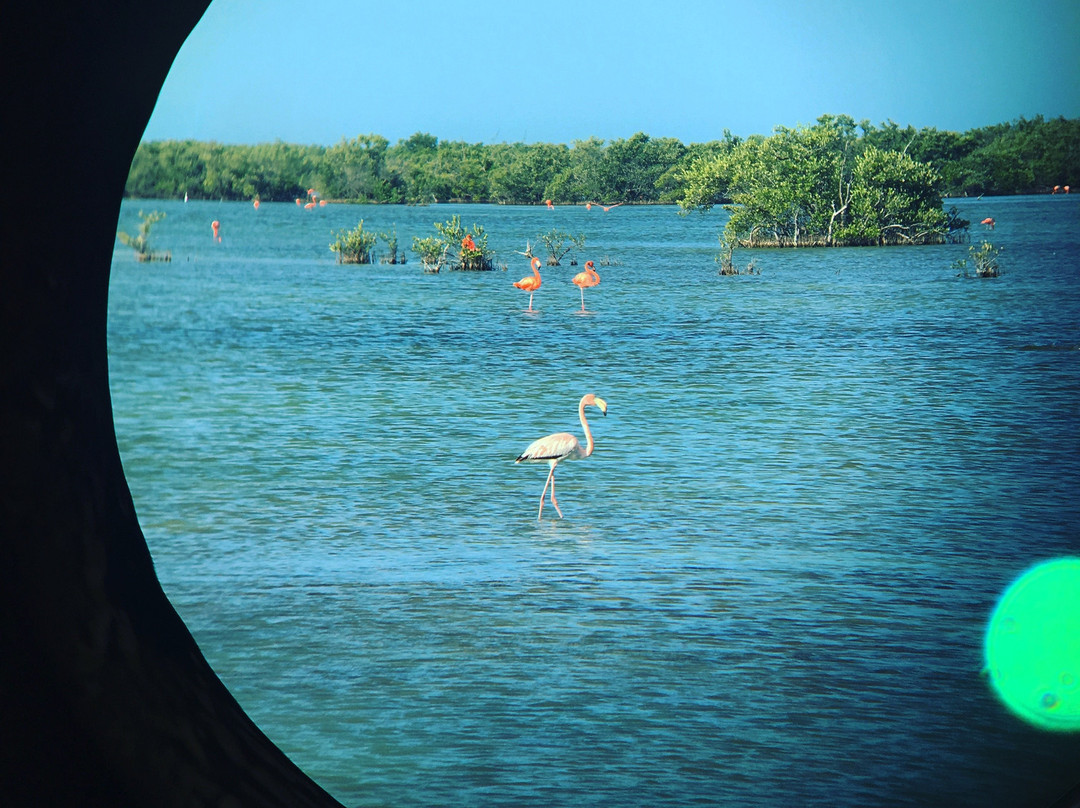 Casa Particular Coralia-Carlos主图