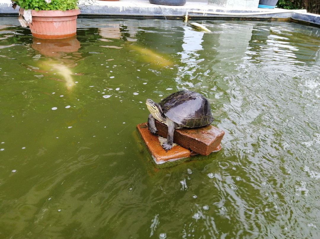 绿洲艾特杰酒店主图