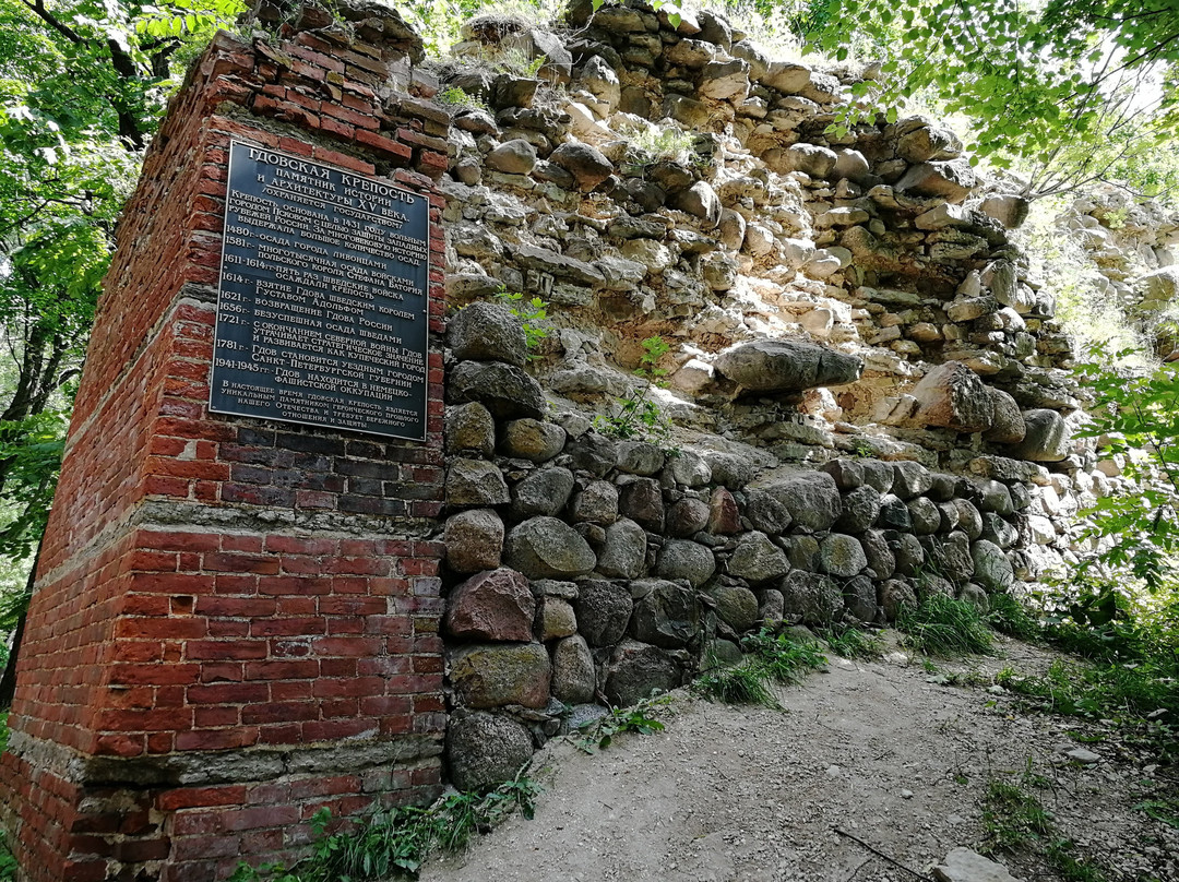 Gdovskaya Fortress景点图片