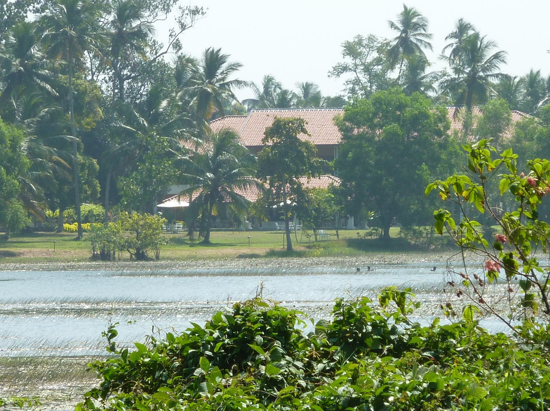 The Notary's House主图