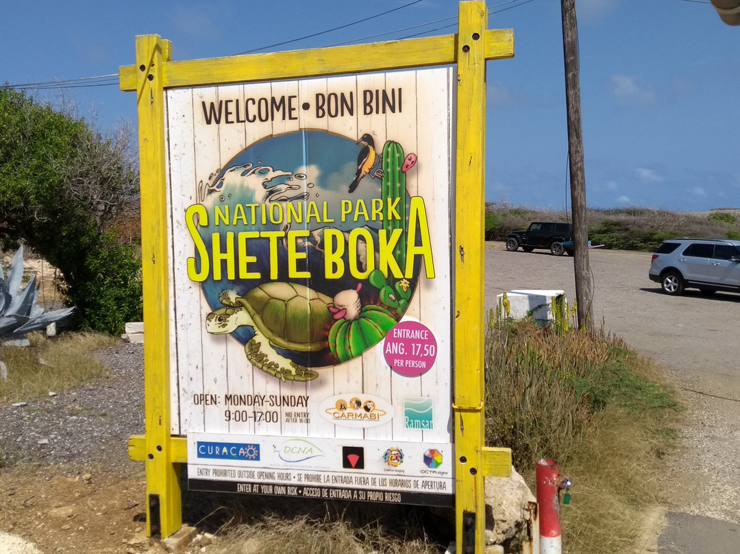 Blue Angel Tours-Sint Willibrordus必去景点