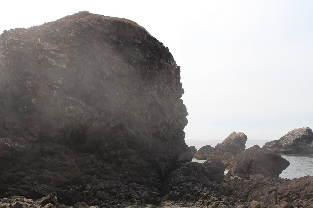Seal Rock State Recreation Site景点图片