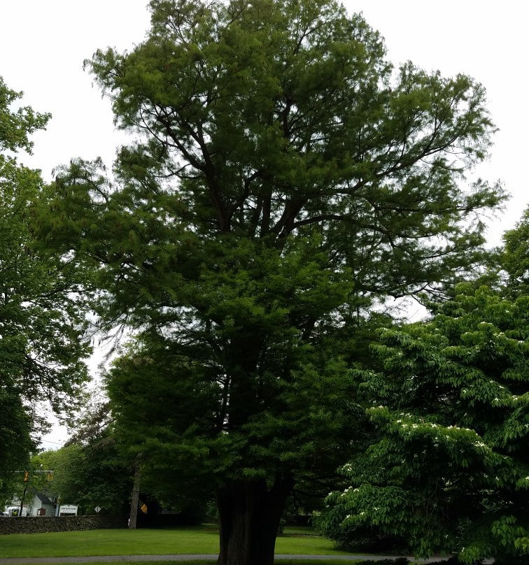 Perkins Stone Mansion & John Brown House-阿克伦必去景点