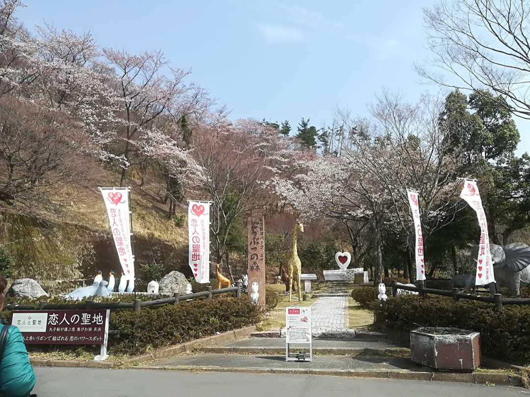 Okubiwako Park Way-长滨市必去景点