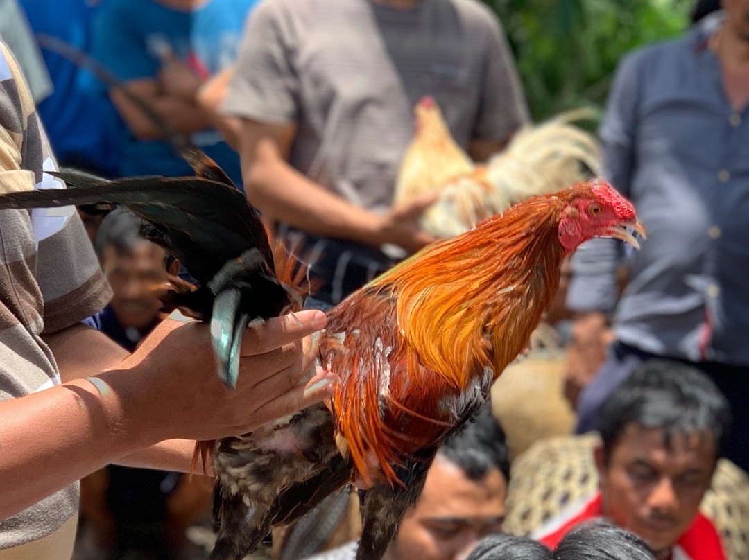 The Organic Farm & Cafe Bali-Angsri必去景点