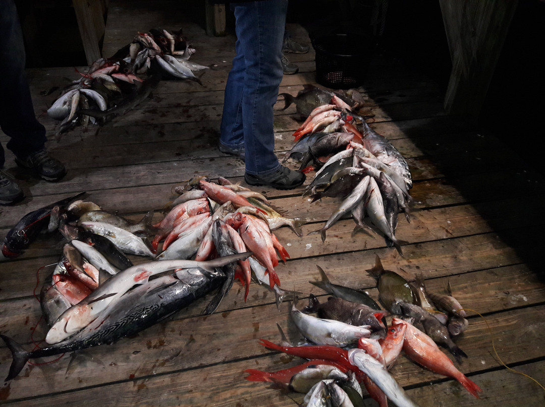 Calabash Fishing Fleet景点图片