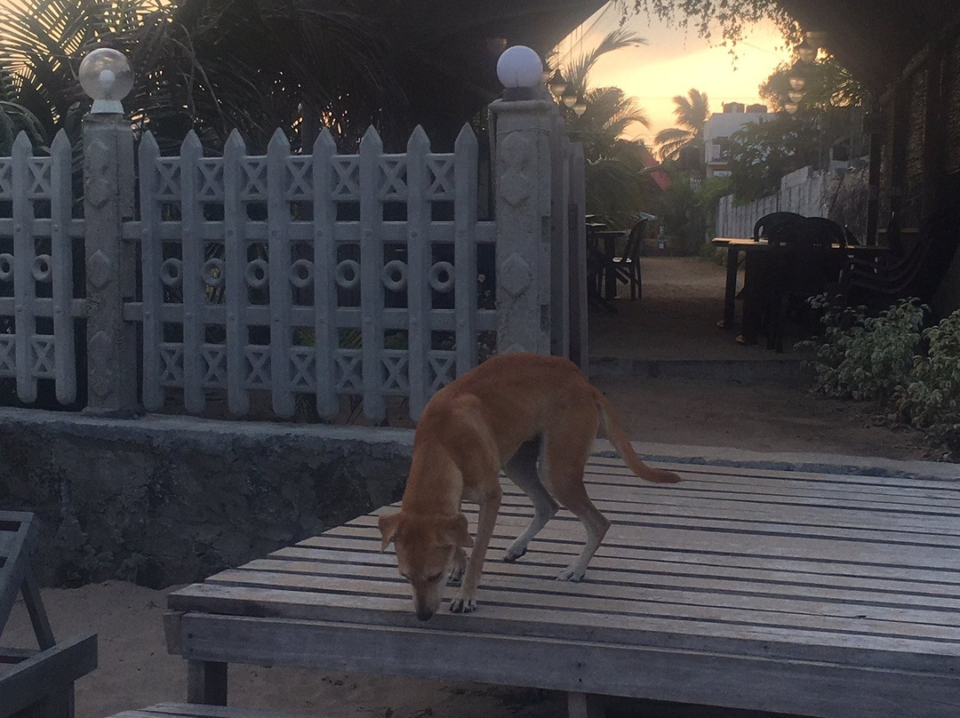 Elegant Green Beach Resort主图