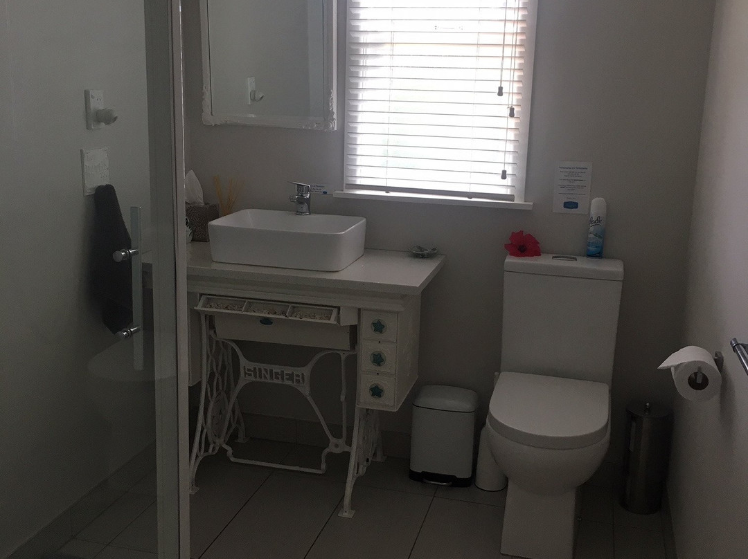 奇异鸟屋旅馆主图