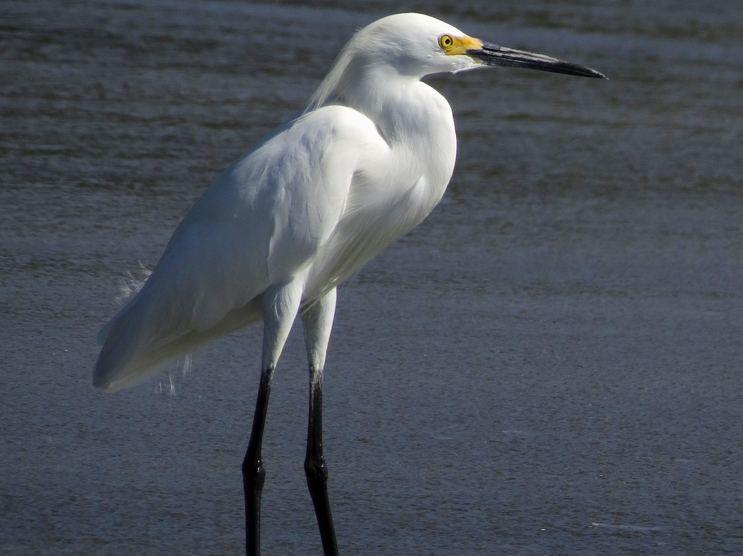 GHL Hotel Relax Costa Azul主图