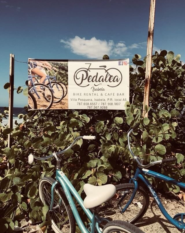 Pedalea Isabela-Isabela必去景点