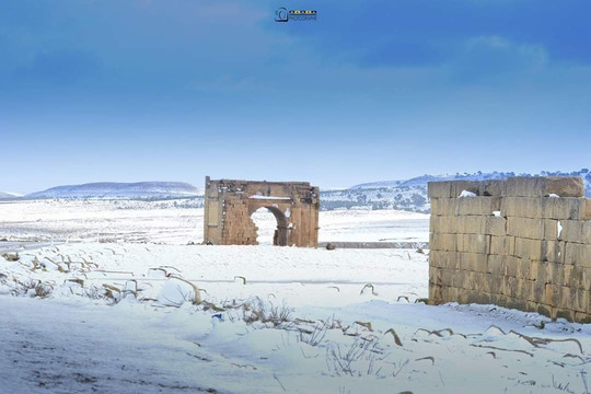 Haïdra Ruins-Haidra必去景点