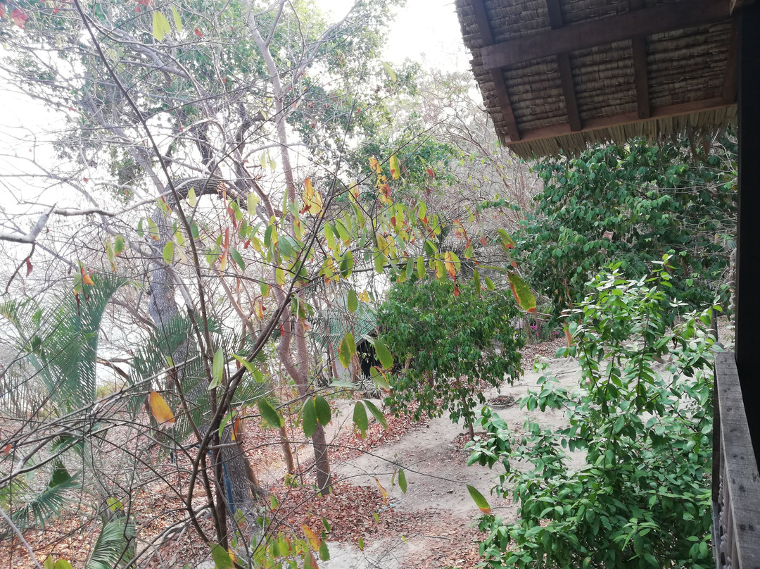 Noina's Mystic Mountain主图