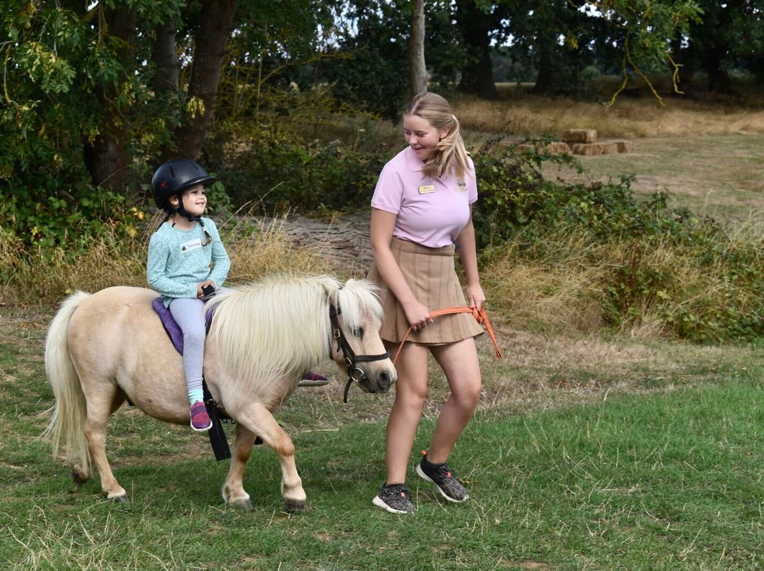 Shetland Pony Club景点图片