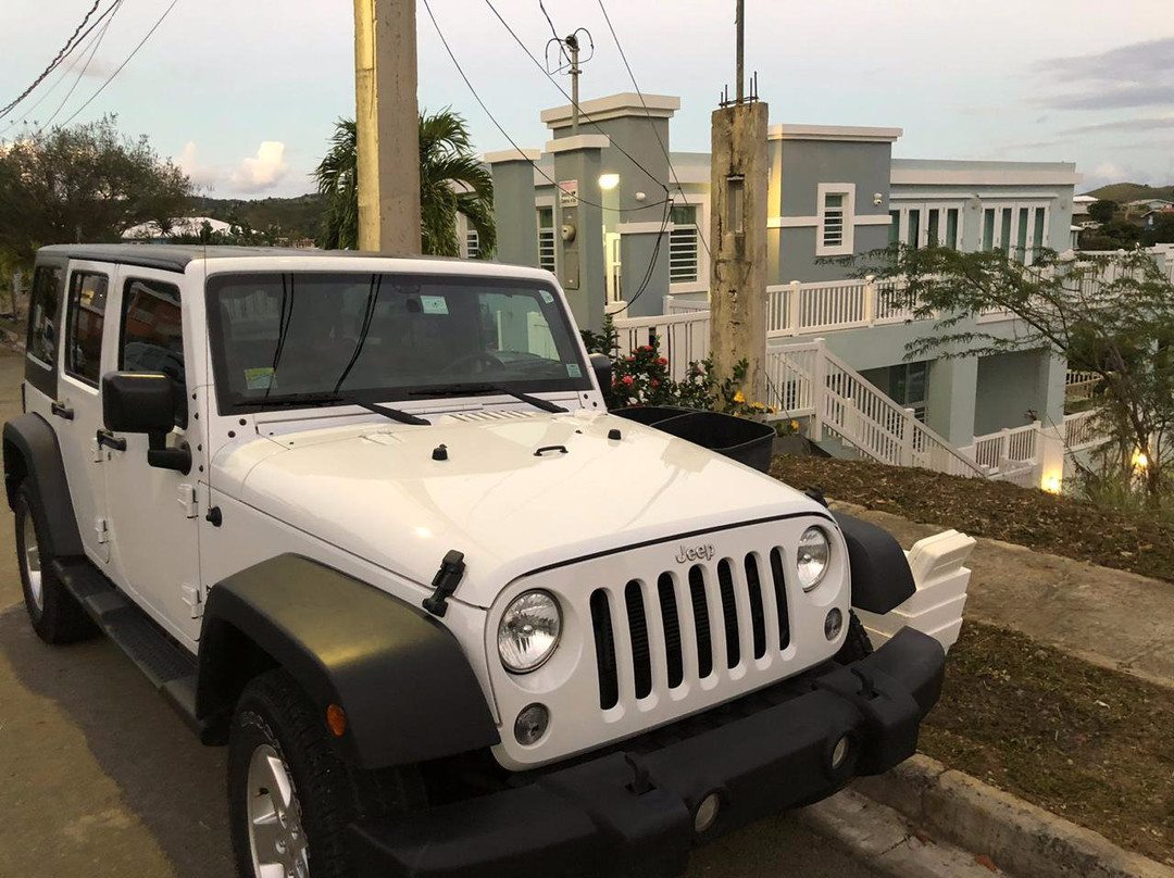 Jerry's Jeep Rental-库莱布拉岛必去景点