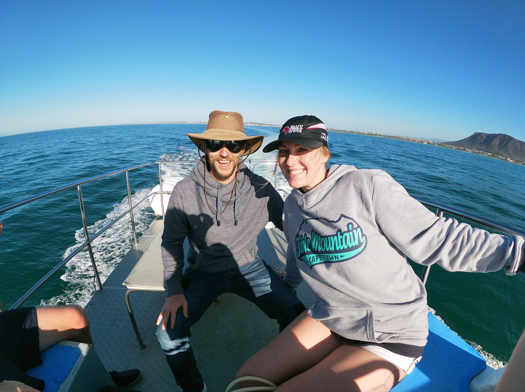 Shark Diving Unlimited-干斯拜必去景点