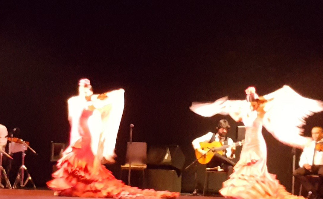 GranGala Flamenco景点图片