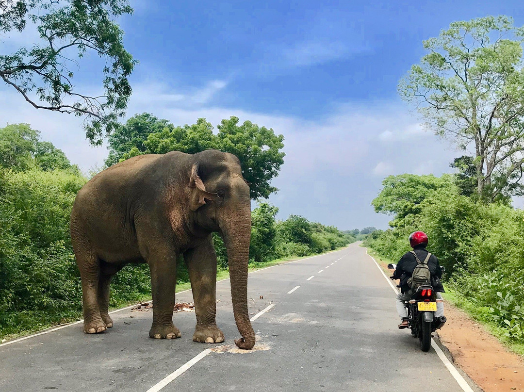 Tourplan Sri Lanka景点图片
