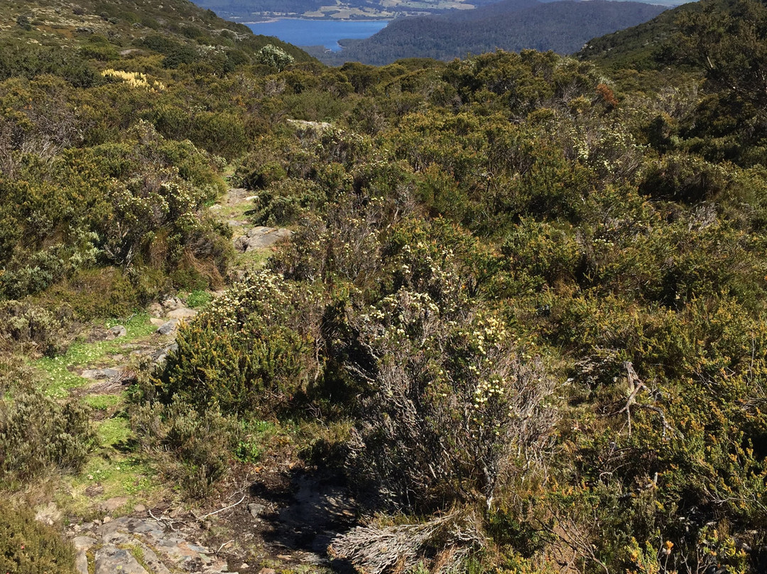森林漫步小屋酒店主图