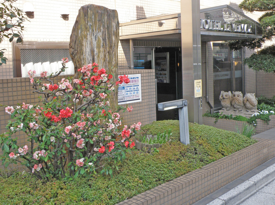 Hotel Livemax Chofu-Ekimae主图