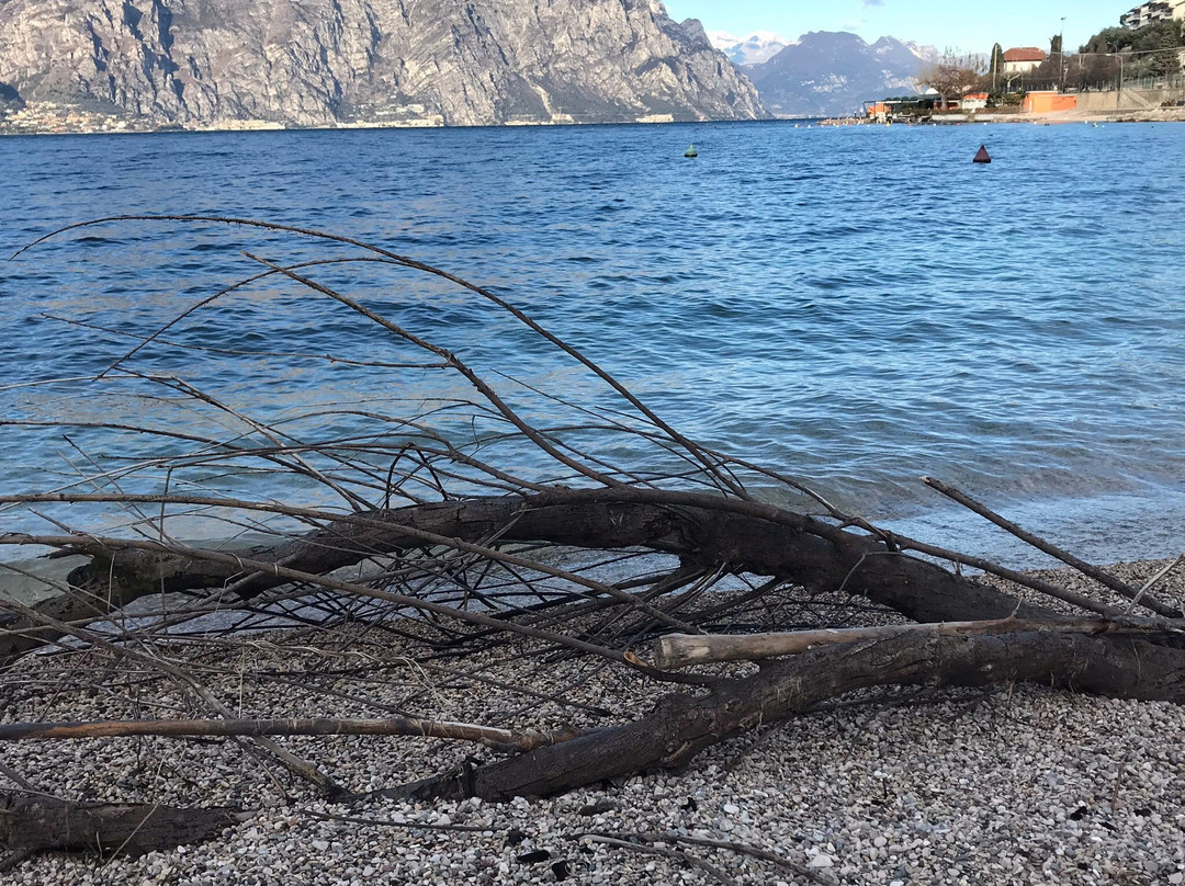 Gadsden餐馆和美食-Cirano Restaurante Parrilla