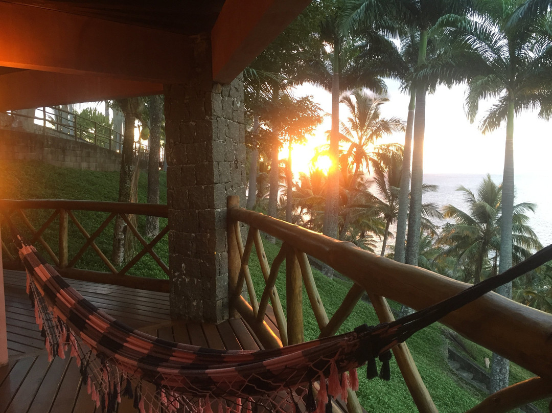 Solar Singuitta主图