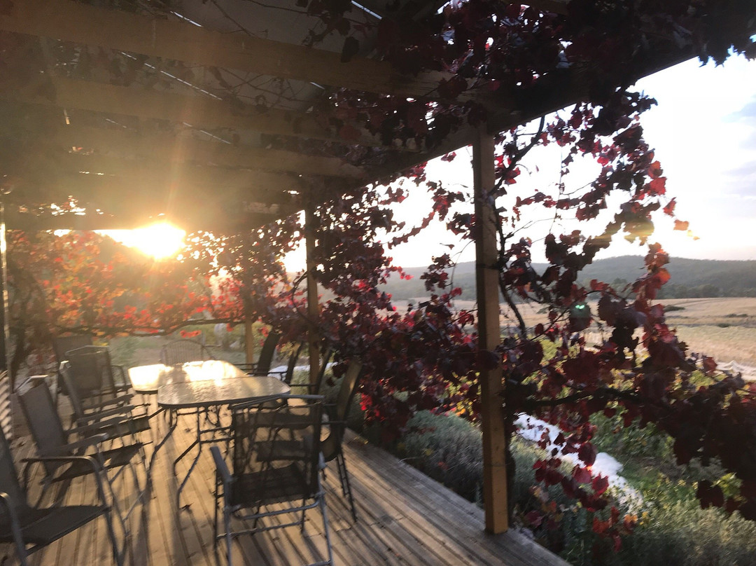 Zig Zag Road Wines-Drummond North必去景点