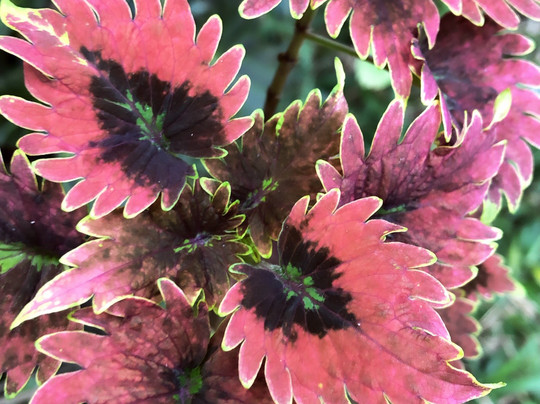 Uyang Bed and Breakfast主图