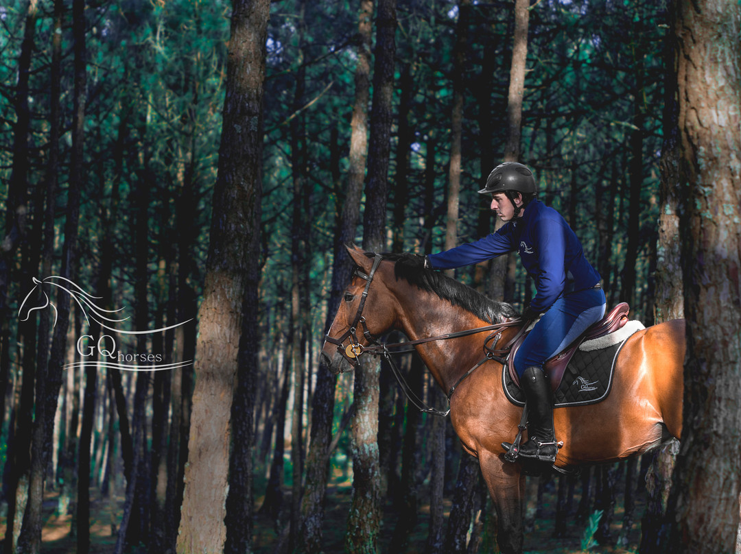 GQhorses-Gafanha da Boa-Hora必去景点