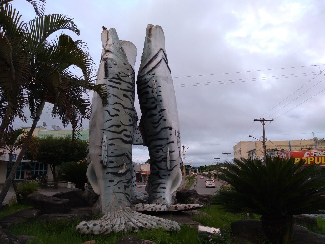 Peixe Cachara Monument景点图片