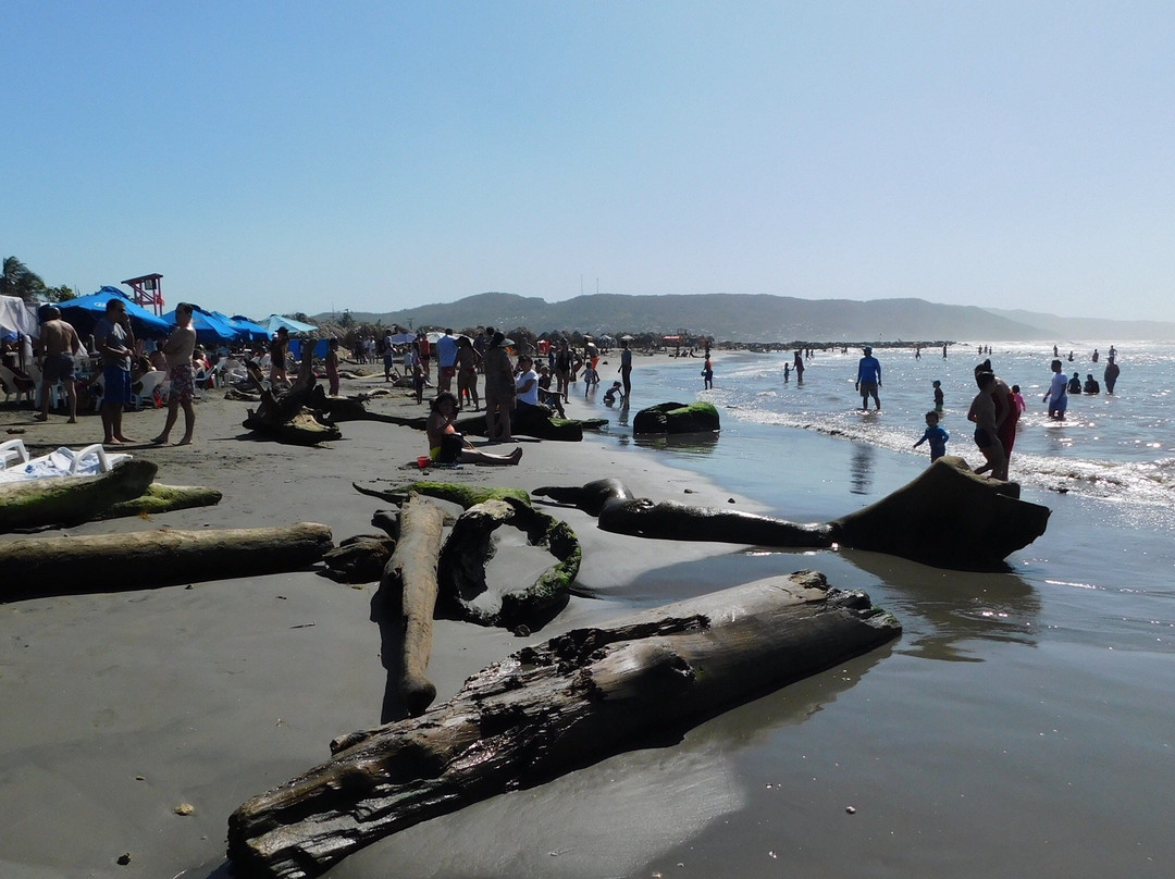 Playas de Puerto Colombia-Puerto Colombia必去景点