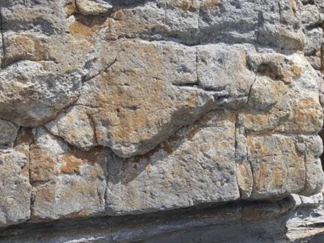 Point Puer-亚瑟港必去景点