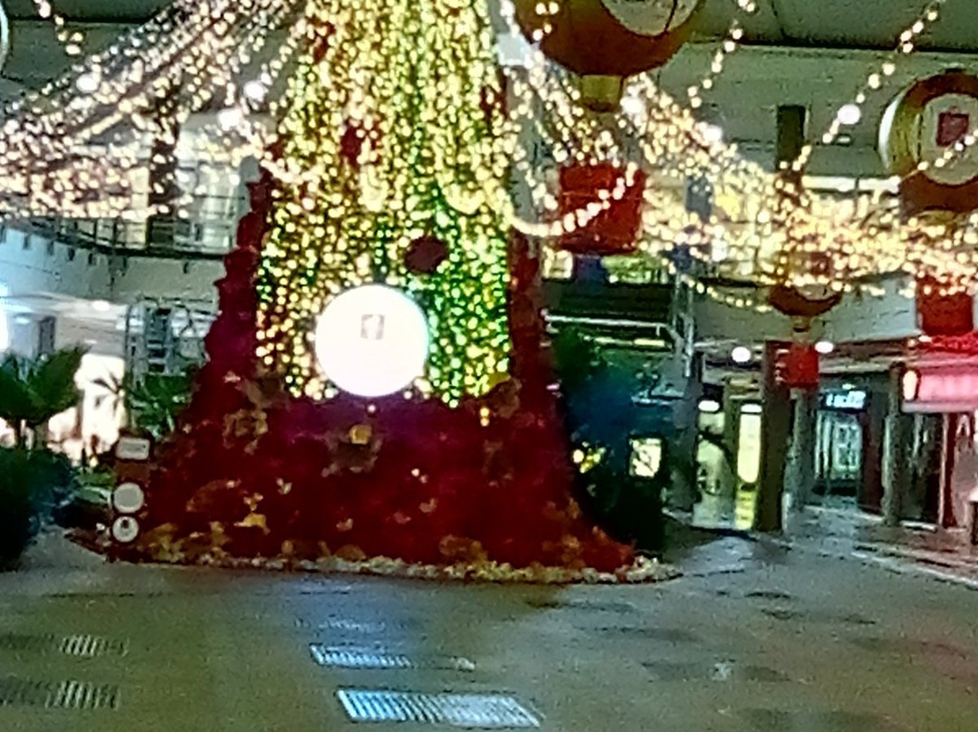 Centro Comercial Santa Lucia Plaza-内瓦必去景点