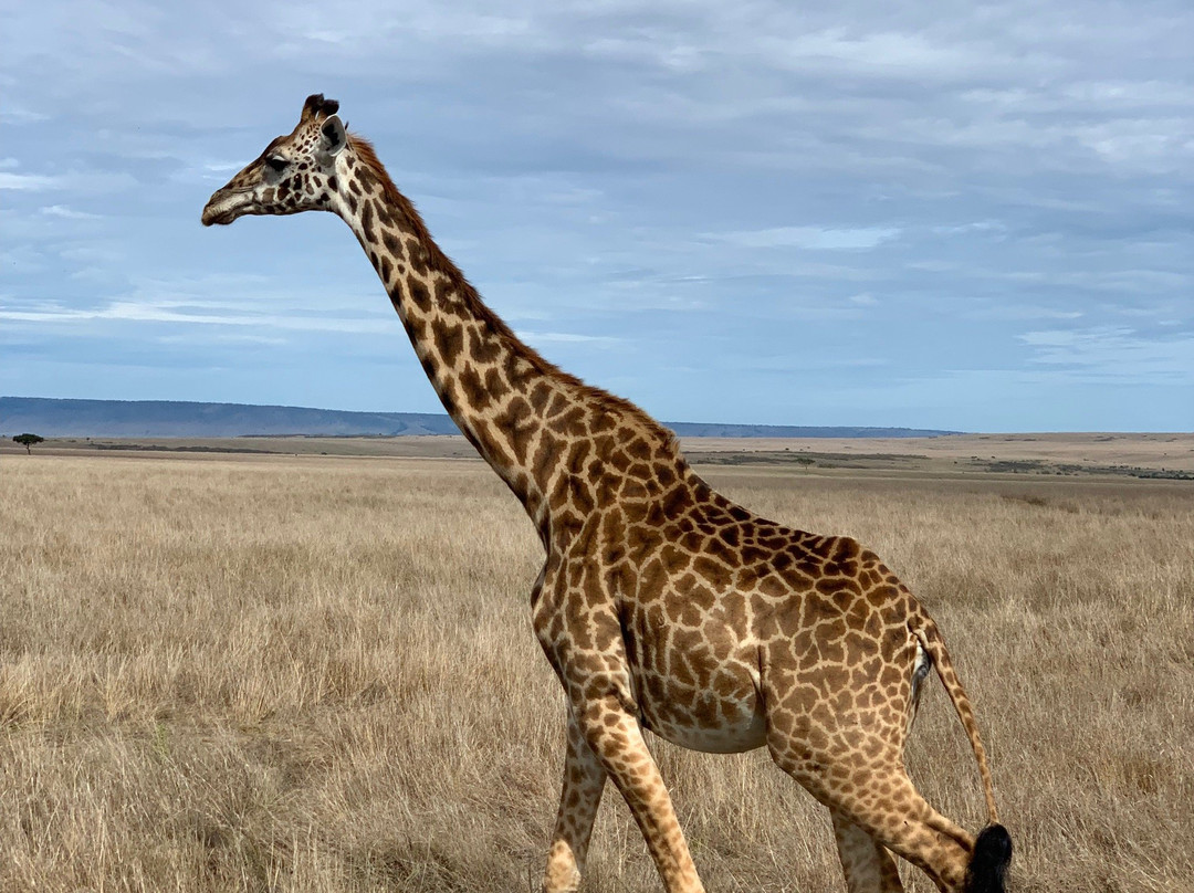 Safariman Expeditions景点图片