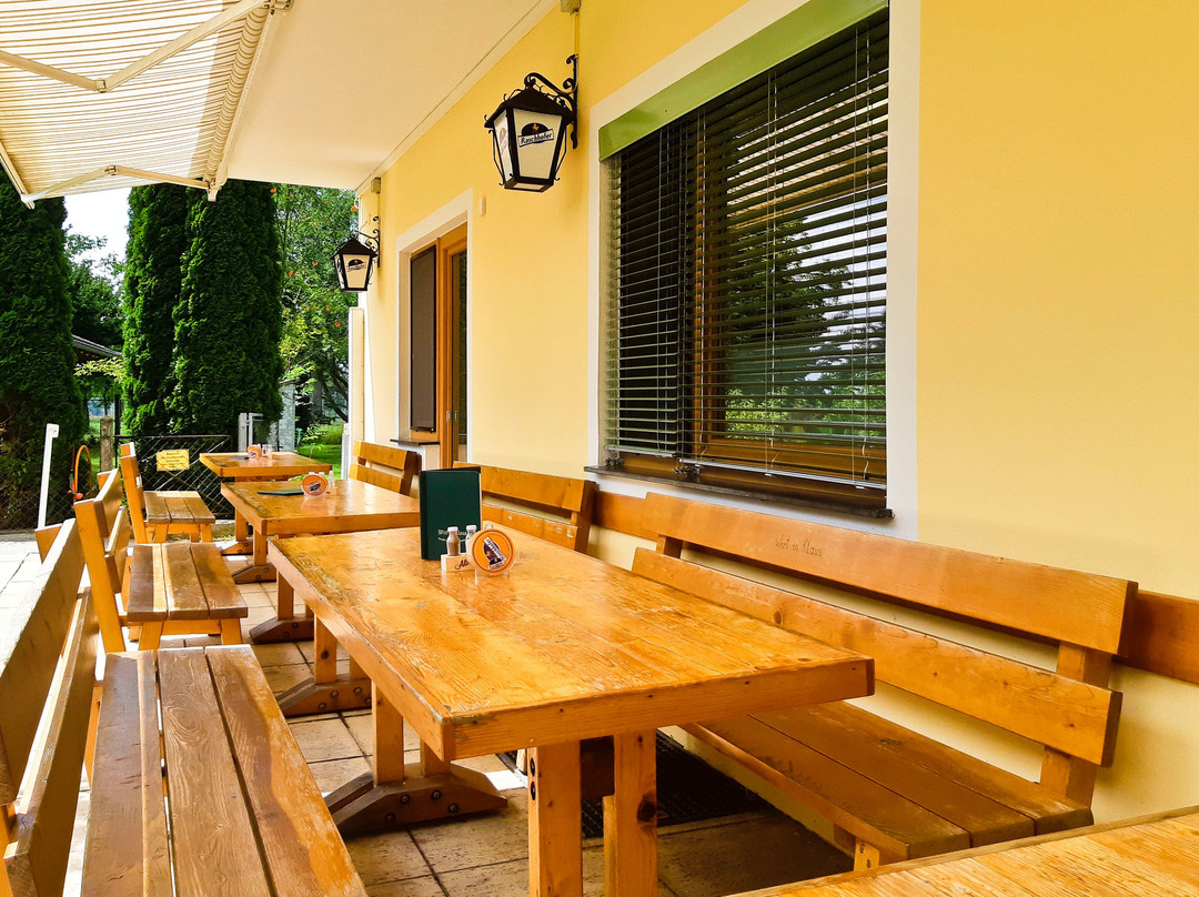 Bad Wimsbach-Neydharting餐馆和美食-Wirt in Klaus