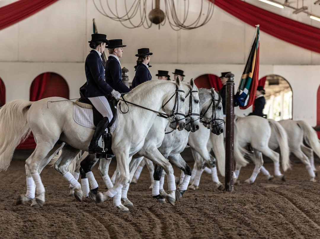The South African Lipizzaners景点图片