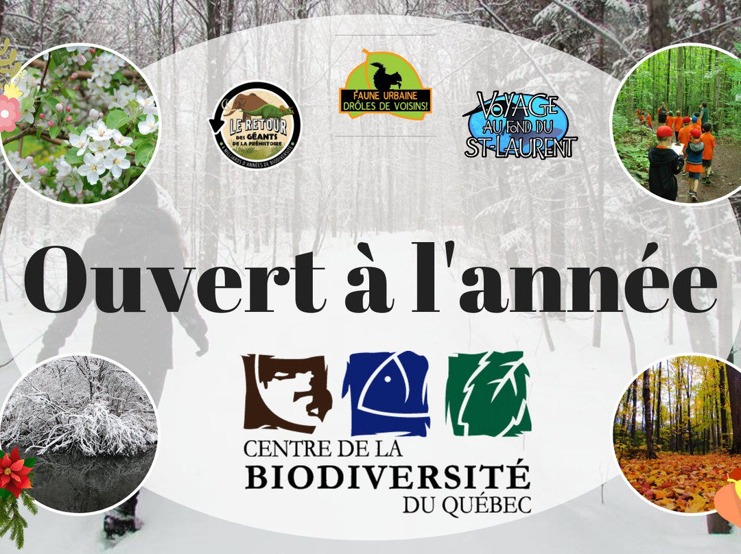 Musée de la Biodiversité du Québec-贝坎库尔必去景点