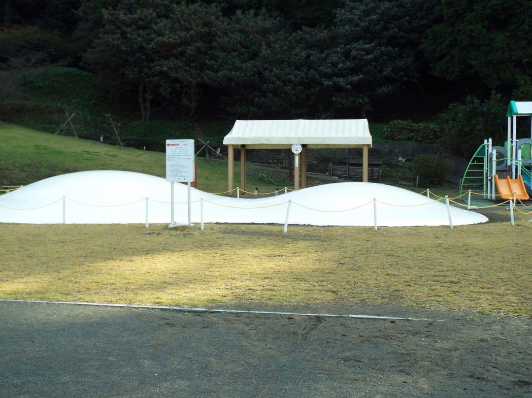 Radiant Flower Hill Park-二宫町必去景点